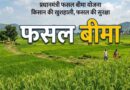 सहकारी समिति की लापरवाही से अटका फसल बीमा, जनसुनवाई में शिकायत के बाद किसानों को मिली राहत