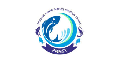 PMMSY से छत्तीसगढ़ में बढ़ा मछली उत्पादन, 10 साल में 3.14 लाख से बढ़कर 8.73 लाख टन पहुंचा