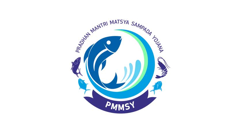 PMMSY से छत्तीसगढ़ में बढ़ा मछली उत्पादन, 10 साल में 3.14 लाख से बढ़कर 8.73 लाख टन पहुंचा