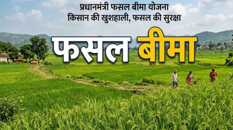 सहकारी समिति की लापरवाही से अटका फसल बीमा, जनसुनवाई में शिकायत के बाद किसानों को मिली राहत