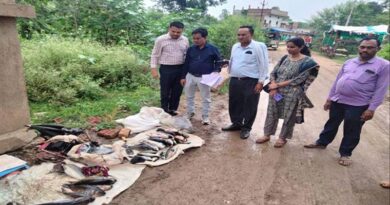 पन्ना: मत्स्य बाजार में की छापामार कार्रवाई