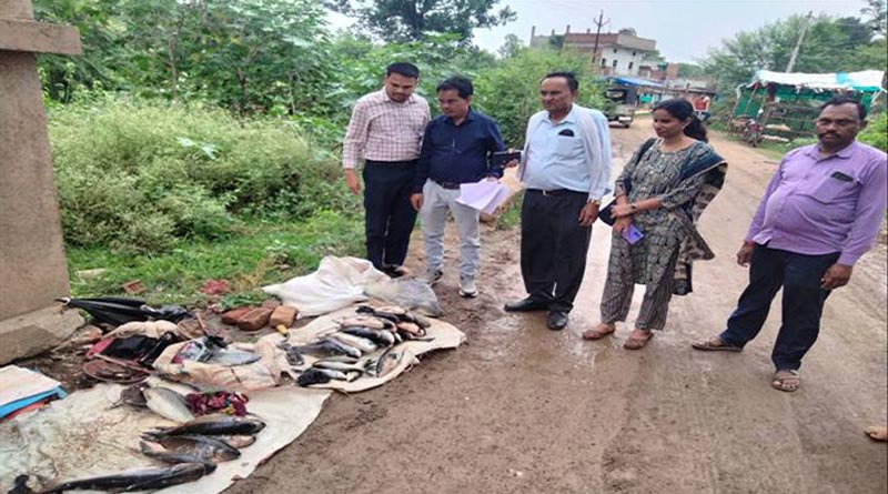 पन्ना: मत्स्य बाजार में की छापामार कार्रवाई