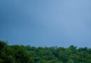 Weather Today: मध्य भारत में भारी से बहुत भारी बारिश का अलर्ट, पूर्वी और उत्तर भारत में भी बरसेंगे बादल; IMD ने जारी की चेतावनी
