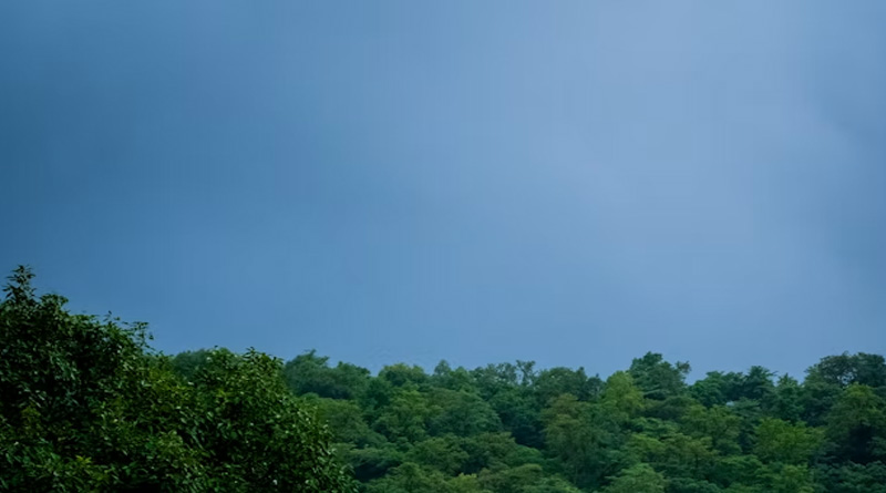 Weather Today: मध्य भारत में भारी से बहुत भारी बारिश का अलर्ट, पूर्वी और उत्तर भारत में भी बरसेंगे बादल; IMD ने जारी की चेतावनी