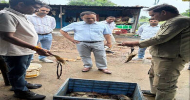 रायसेन: मत्स्य महासंघ के एमडी ने किया निरीक्षण