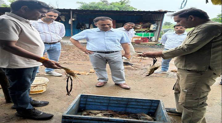 रायसेन: मत्स्य महासंघ के एमडी ने किया निरीक्षण
