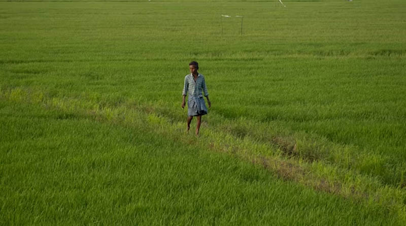 छिंदवाड़ा: सर्वोत्तम कृषक पुरस्कार के लिये 20 अगस्त तक आवेदन आमंत्रित