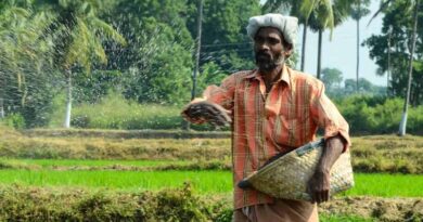 उर्वरक वितरण व्यवस्था ई -विकास प्रणाली 2.0 के लिए नए नियम लागू