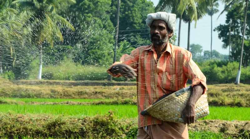 उर्वरक वितरण व्यवस्था ई -विकास प्रणाली 2.0 के लिए नए नियम लागू