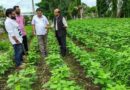 सिवनी: क्रॉप कैफेटेरिया के माध्यम से किसानों को नवीनतम किस्मों की जानकारी दी