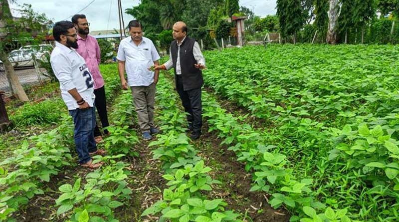 सिवनी: क्रॉप कैफेटेरिया के माध्यम से किसानों को नवीनतम किस्मों की जानकारी दी
