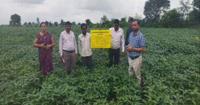 शिवपुरी: उप संचालक कृषि ने किया फसल प्रदर्शन का निरीक्षण