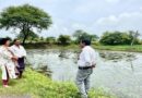 एक ही खेत से डबल कमाई, किसान ने सिंघाड़े के साथ शुरू किया मछली पालन; दोगुना हुआ मुनाफा  