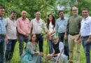 विजिलेंस पब्लिसिटी ने नीम के 51 पौधे रोपित किए