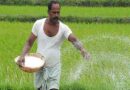 डिंडोरी : किसानों को मिली अपनी पसंद के उर्वरक की खरीदी की सुविधा