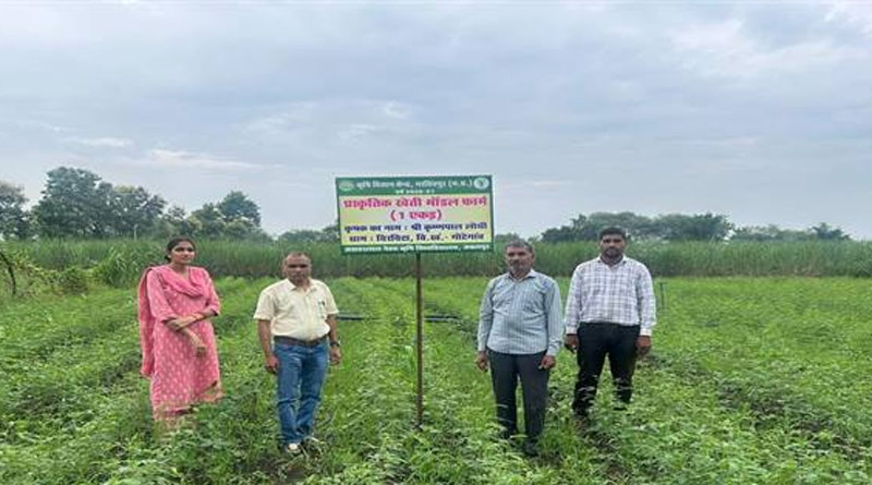 नरसिंहपुर में किसानों के खेतों पर पहुंचे कृषि वैज्ञानिक, अरहर की GRG-152 किस्म का प्रदर्शन; प्राकृतिक खेती के दिए टिप्स