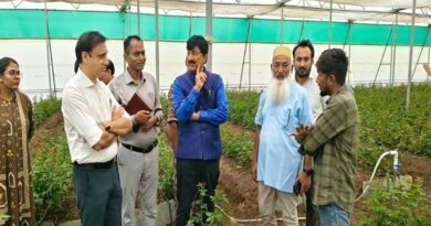 गुना में पहली बार सेंसर से होगी गुलाब की खेती, पॉलीहाउस में ऑटोमेशन-फर्टिगेशन से नियंत्रित होगा पानी और खाद