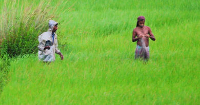 बिहार में किसानों को 3 प्रतिशत ब्याज दर पर मिलेगा कृषि ऋण