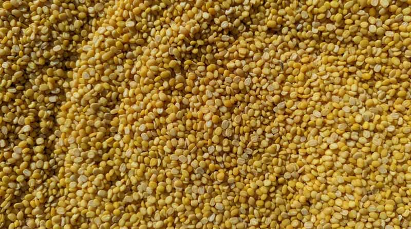 अरहर की किस्म 'आशा' का पहला पूर्ण जीनोम तैयार, किसानों को मिलेगा लाभ