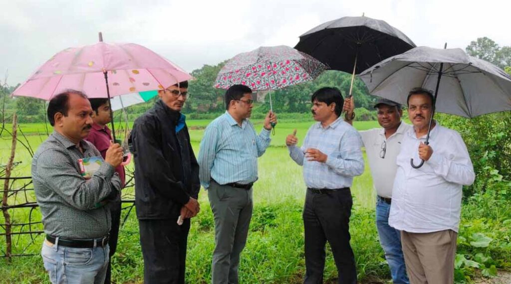 रायगढ़: बारिश के बीच खेतों में पहुंचा कृषि अमला, जवाफुल धान की जैविक खेती देखी; सन बीज उत्पादन पर जोर