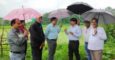 रायगढ़: बारिश के बीच खेतों में पहुंचा कृषि अमला, जवाफुल धान की जैविक खेती देखी; सन बीज उत्पादन पर जोर