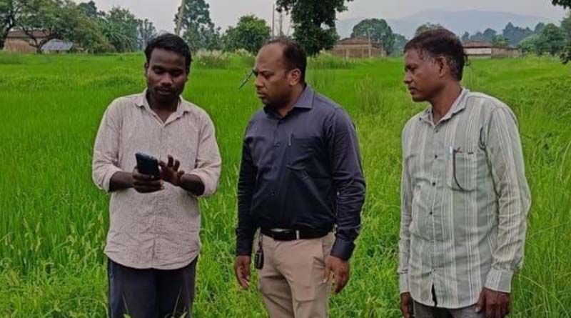 छत्तीसगढ़: बलरामपुर में डिजिटल क्रॉप सर्वे तेज, खेतों में पहुंचकर फसलों का हो रहा सत्यापन