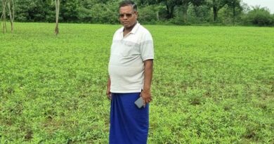 छत्तीसगढ़: किसान सुखदेव सिदार ने अपनाया फसल विविधीकरण, सन बीज की खेती से होगी 4 लाख रुपये तक की कमाई