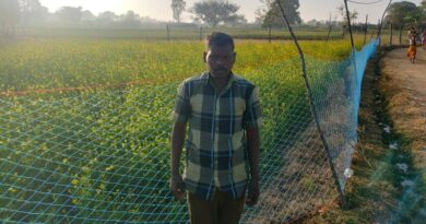 रायपुर: खाली पड़ी जमीन बनी कमाई का जरिया, सरसों की खेती से जशपुर के किसान को मिलेगा फायदा