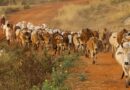 गौशालाओं में लगेंगे लिक्विड फर्टिलाइजर प्लांट, गोबर से तैयार होगी जैविक खाद
