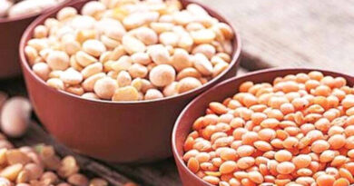 बिहार में दाल प्रोसेसिंग यूनिट लगाने पर मिलेगा 25 लाख रुपये तक अनुदान, 31 अगस्त तक करें आवेदन