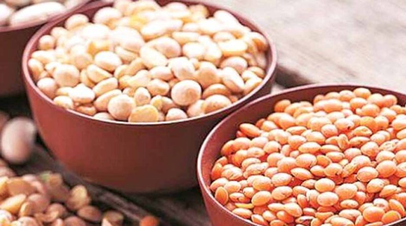 बिहार में दाल प्रोसेसिंग यूनिट लगाने पर मिलेगा 25 लाख रुपये तक अनुदान, 31 अगस्त तक करें आवेदन