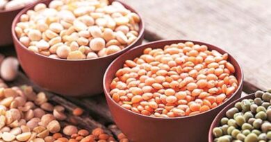 दलहन-तिलहन का रकबा बढ़ाने पर भारत सरकार का जोर, खाद्य तेल में आत्मनिर्भरता का लक्ष्य