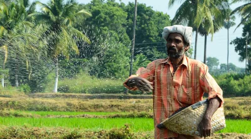 जबलपुर: खाद वितरण में लापरवाही पर गोदाम प्रभारी को हटाया