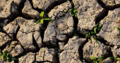 भूमि क्षरण से खेती पर बढ़ा खतरा: देश में 9.78 करोड़ हेक्टेयर जमीन प्रभावित, राजस्थान सबसे आगे  