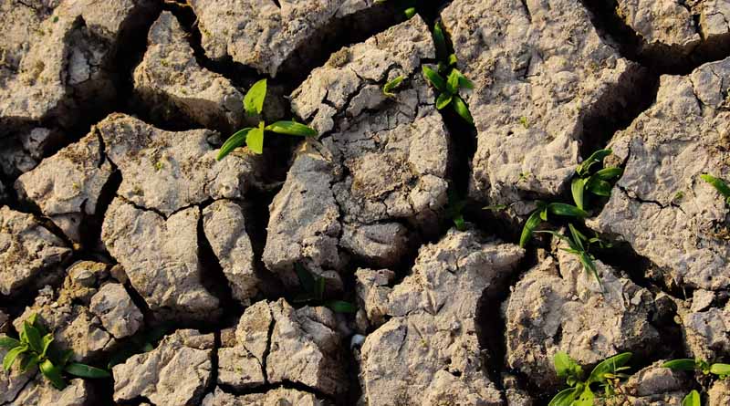 भूमि क्षरण से खेती पर बढ़ा खतरा: देश में 9.78 करोड़ हेक्टेयर जमीन प्रभावित, राजस्थान सबसे आगे