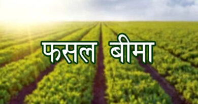 एक ही खेत पर 4 फसल बीमा पॉलिसियां, 31 लाख से ज्यादा का क्लेम; बटाईदार को भी मिले 7.80 लाख, FIR के निर्देश