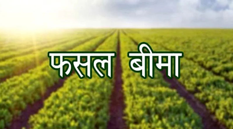 एक ही खेत पर 4 फसल बीमा पॉलिसियां, 31 लाख से ज्यादा का क्लेम; बटाईदार को भी मिले 7.80 लाख, FIR के निर्देश