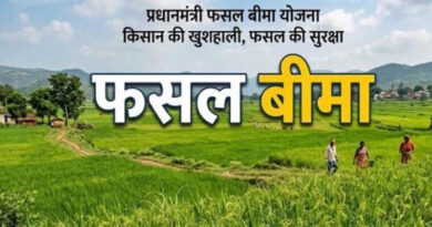 छत्तीसगढ़: धमतरी में फसल बीमा का टूटा 5 साल का रिकॉर्ड, खरीफ 2026 में 80,920 किसानों ने कराया बीमा