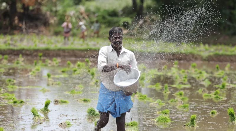 सिवनी: एग्रीस्टेक, पैक्स सदस्यता एवं अग्रिम उर्वरक उठाव अभियान को गति देने के निर्देश