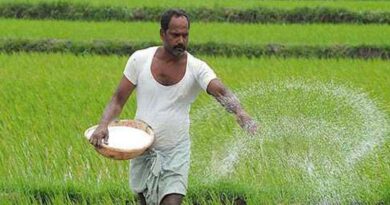 मध्यप्रदेश में उर्वरक वितरण व्यवस्था में बड़ा बदलाव, अब हाइब्रिड मोड से मिलेगा खाद; ये दस्तावेज होंगे अनिवार्य
