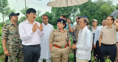 फूलों की खेती से मालामाल हुए गुना के किसान गोपाल! महज डेढ़ एकड़ में कमा रहे ₹5-6 लाख तक का मुनाफा  