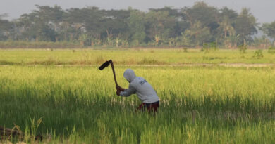छिंदवाड़ा: सर्वोत्तम कृषक पुरस्कार हेतु 20 अगस्त तक आवेदन आमंत्रित