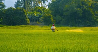 किसानों के लिए बड़ी राहत! अब बदल सकेंगे उपार्जन केंद्र, स्लॉट बुकिंग में मिला संशोधन का विकल्प