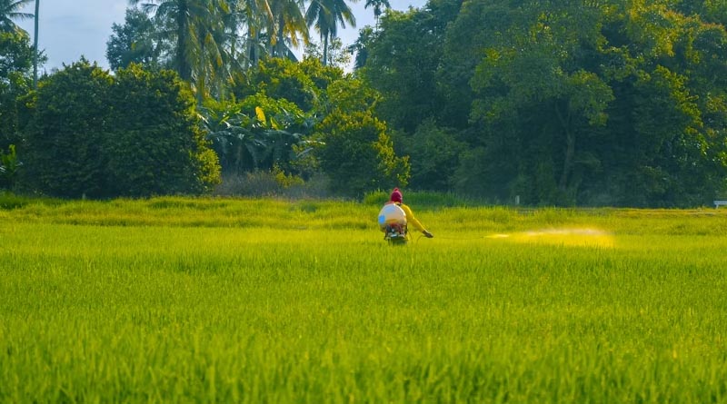 किसानों के लिए बड़ी राहत! अब बदल सकेंगे उपार्जन केंद्र, स्लॉट बुकिंग में मिला संशोधन का विकल्प