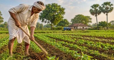 बिहार के 28 स्थानीय उत्पादों को GI टैग की उम्मीद, 10 उत्पाद अंतिम चरण में