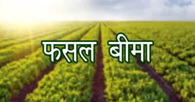 फसल बीमा योजना में फर्जीवाड़े पर होगी सख्त कार्रवाई, पात्र किसानों को समय पर मिले लाभ: कृषि आयुक्त