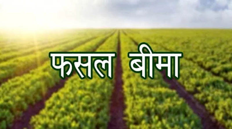 फसल बीमा योजना में फर्जीवाड़े पर होगी सख्त कार्रवाई, पात्र किसानों को समय पर मिले लाभ: कृषि आयुक्त