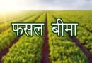 सिवनी : फसल बीमा की अंतिम तिथि 15 अगस्त तक बढ़ाई