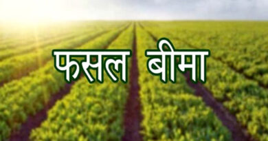 सिवनी : फसल बीमा की अंतिम तिथि 15 अगस्त तक बढ़ाई