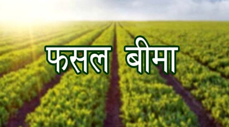 सिवनी : फसल बीमा की अंतिम तिथि 15 अगस्त तक बढ़ाई